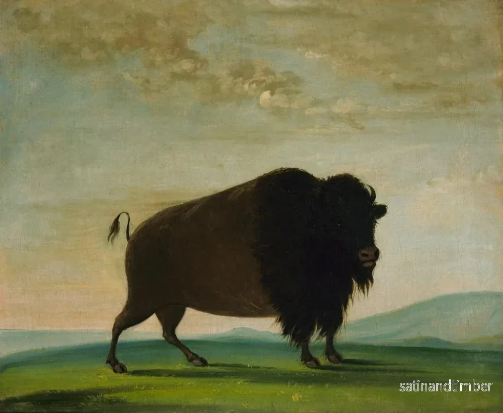 Reproduktion av målningen av nötkreatur som betar på prärien - George Catlin - Bild 2