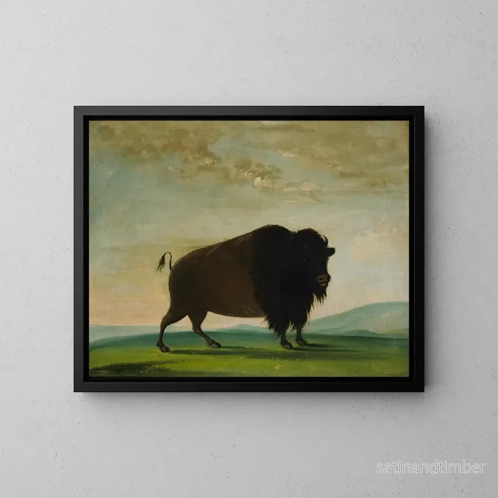 Reproduktion av målningen av nötkreatur som betar på prärien - George Catlin