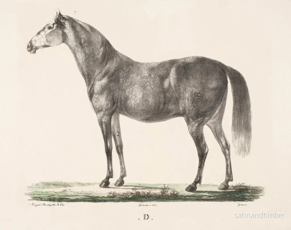 Reproduktion av målningen Le cheval D - Christian David Gebauer - Bild 2