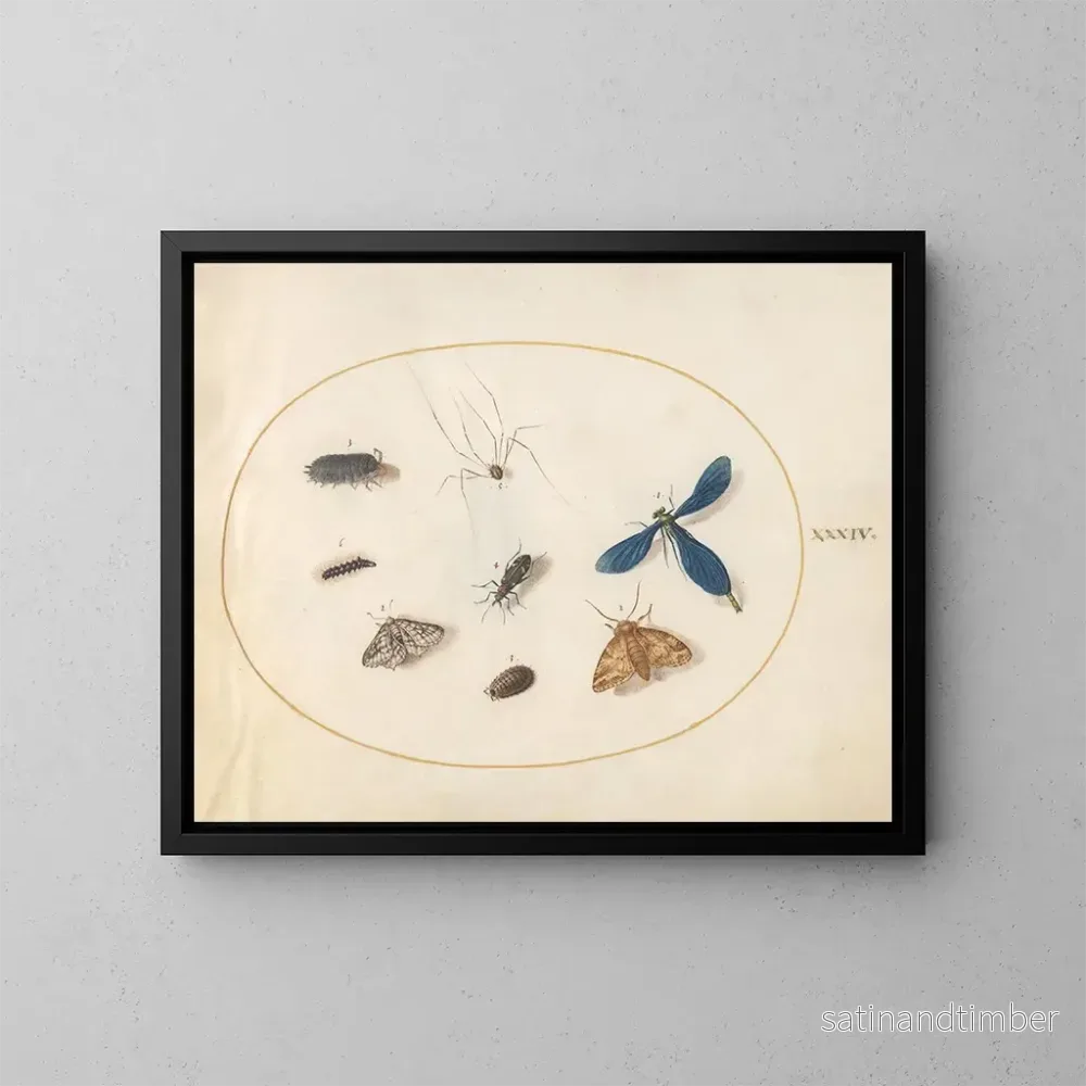 Reproduktion av målningen Planche 34 Två nattfjärilar med en spindel, en larv, en damselfly och andra insekter - Joris Hoefnagel