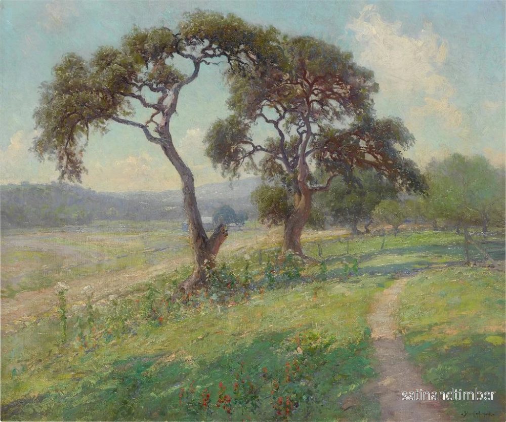 Reproduktion av målningen Landskap av Texas Hill Country utan titel - Julian Onderdonk - Bild 2