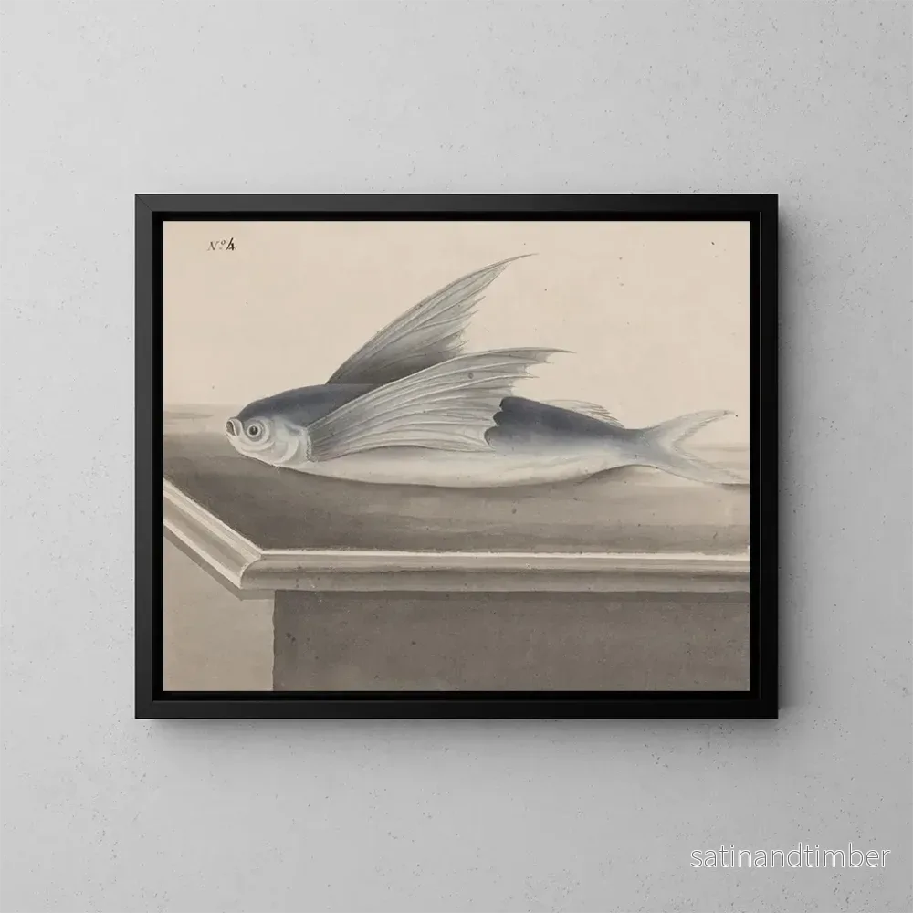 Reproduktion av målningen av Histoire naturelle de Saint-Domingue - René de Rabi