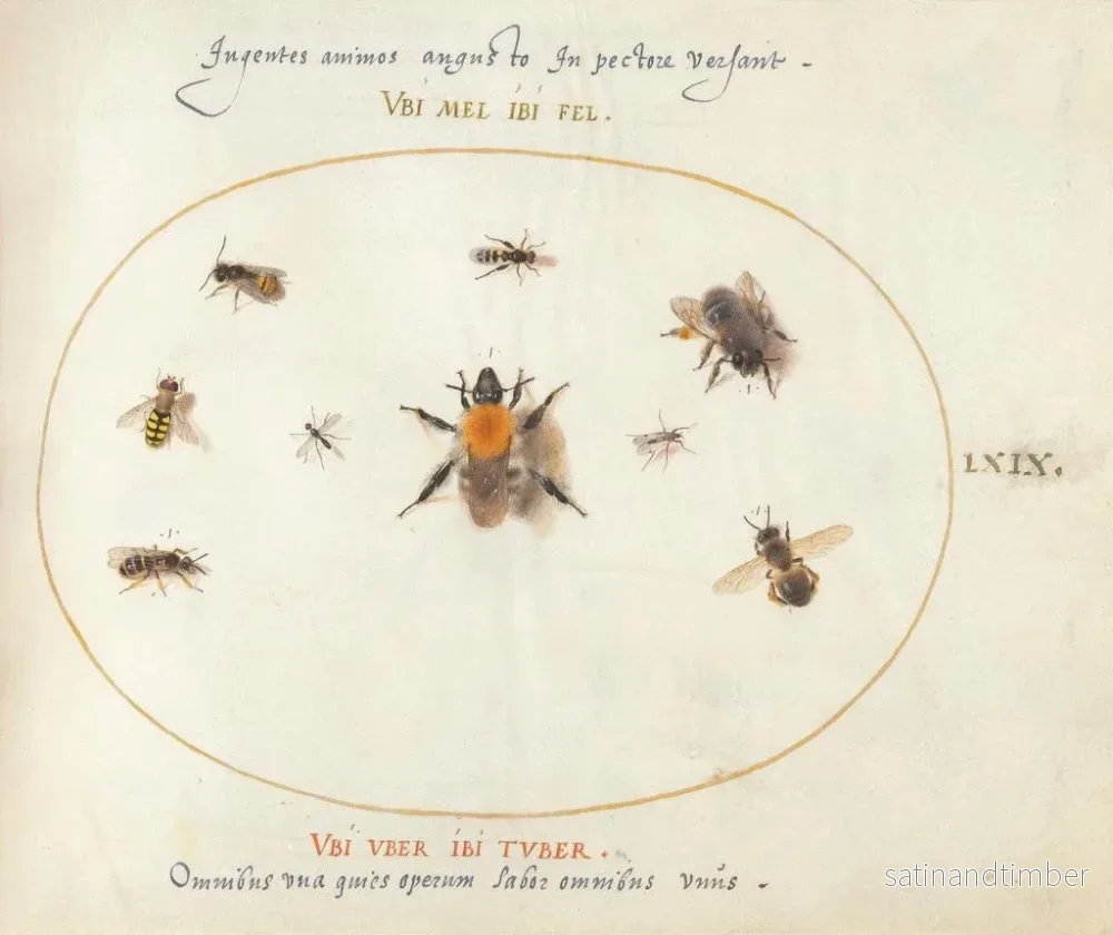 Reproduktion av målningen Platine 69 Nya bin och andra insekter - Joris Hoefnagel - Bild 2