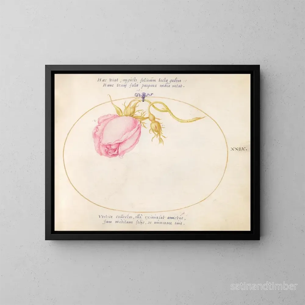Reproduktion av målningen Platine 29 Rose ros och rosenknopp - Joris Hoefnagel