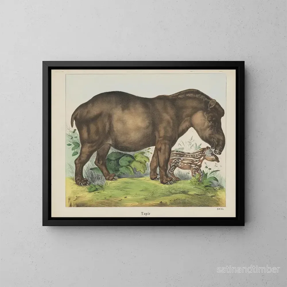 Reproduktion av målningen Tapir - Joseph Scholz