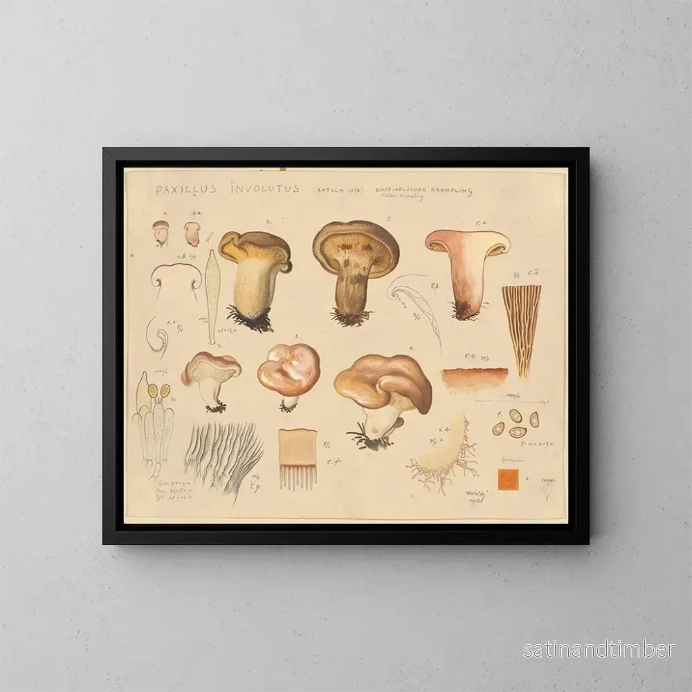 Reproduktion av målningen Paxillus involutus - Hans Baldung
