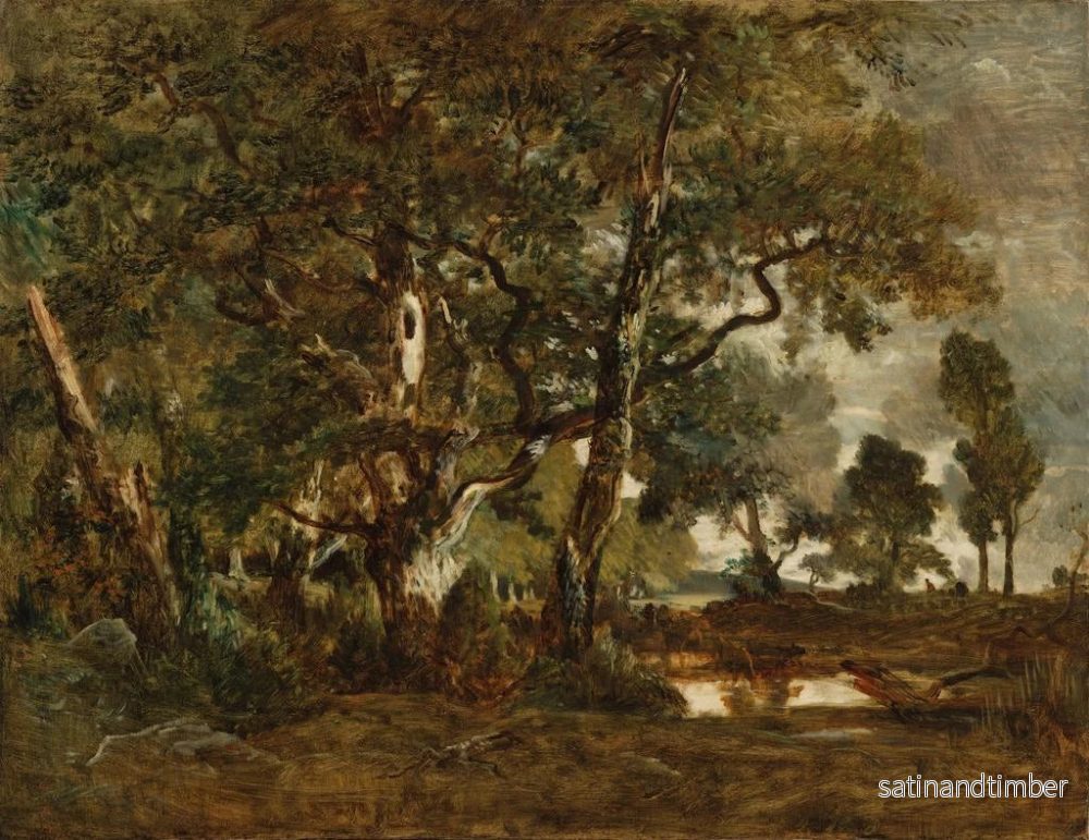 Reproduktion av målningen av Fontainebleau-skogen, grupp av stora träd som sträcker sig över Clairbois-slätten vid Ba - Théodore Rousseau - Bild 2
