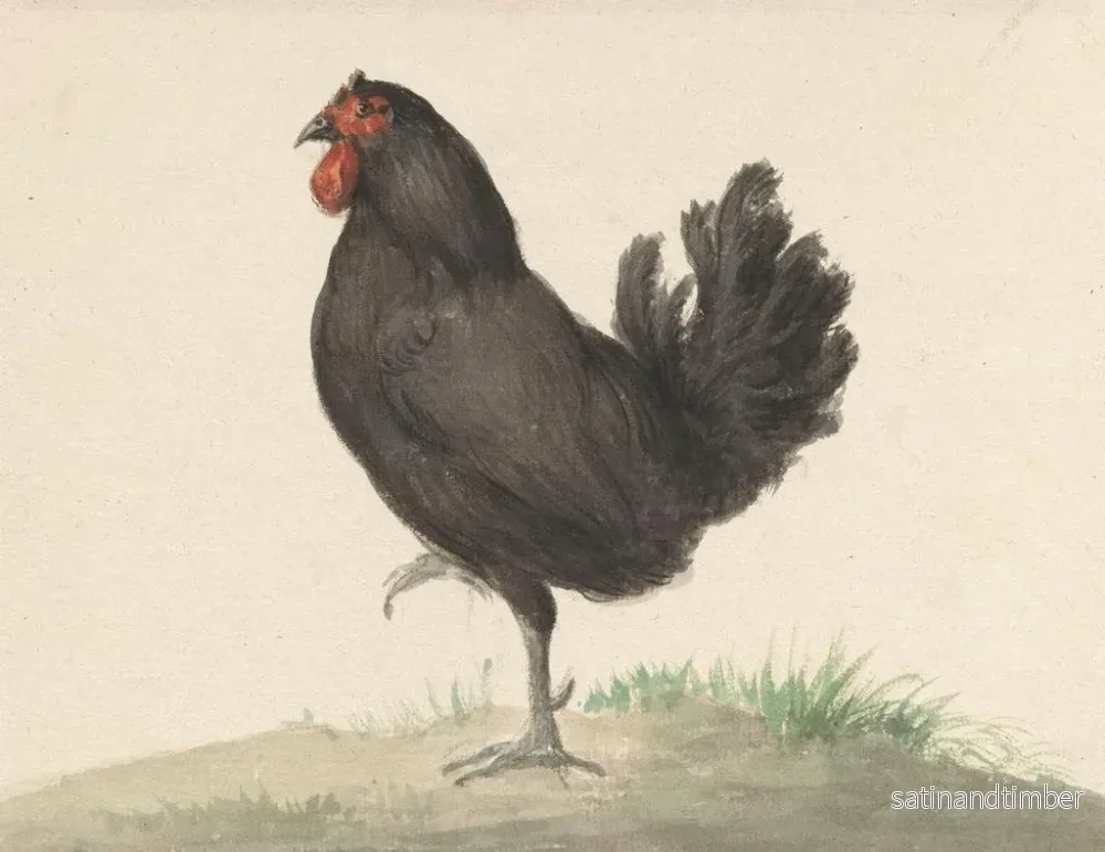 Reproduktion av målningen Poule noire debout - Jean Bernard - Bild 2