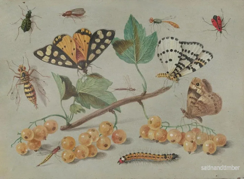 Reproduktion av målningen Studie av fjärilar och insekter - Jan van Kessel den äldre - Bild 2