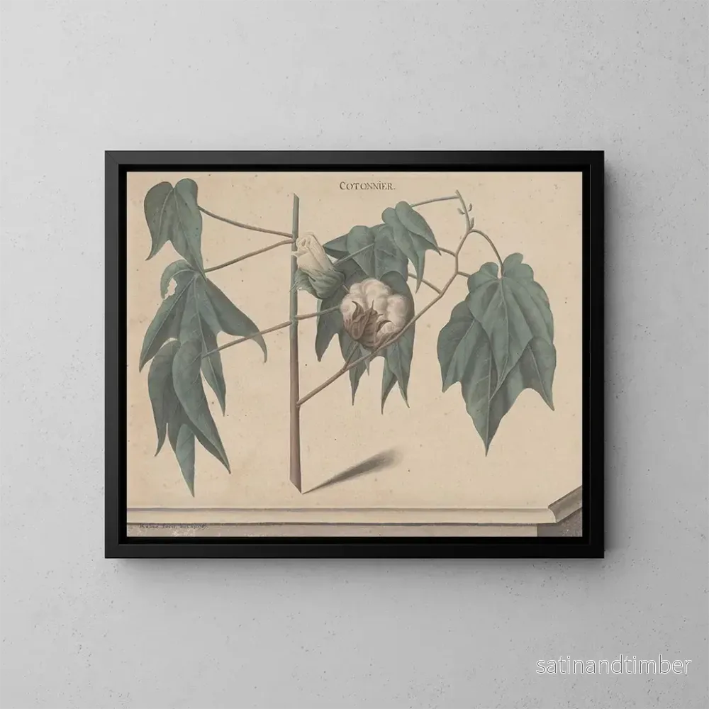 Reproduktion av målningen Histoire naturelle de Saint-Domingue Pl135 - René de Rabi