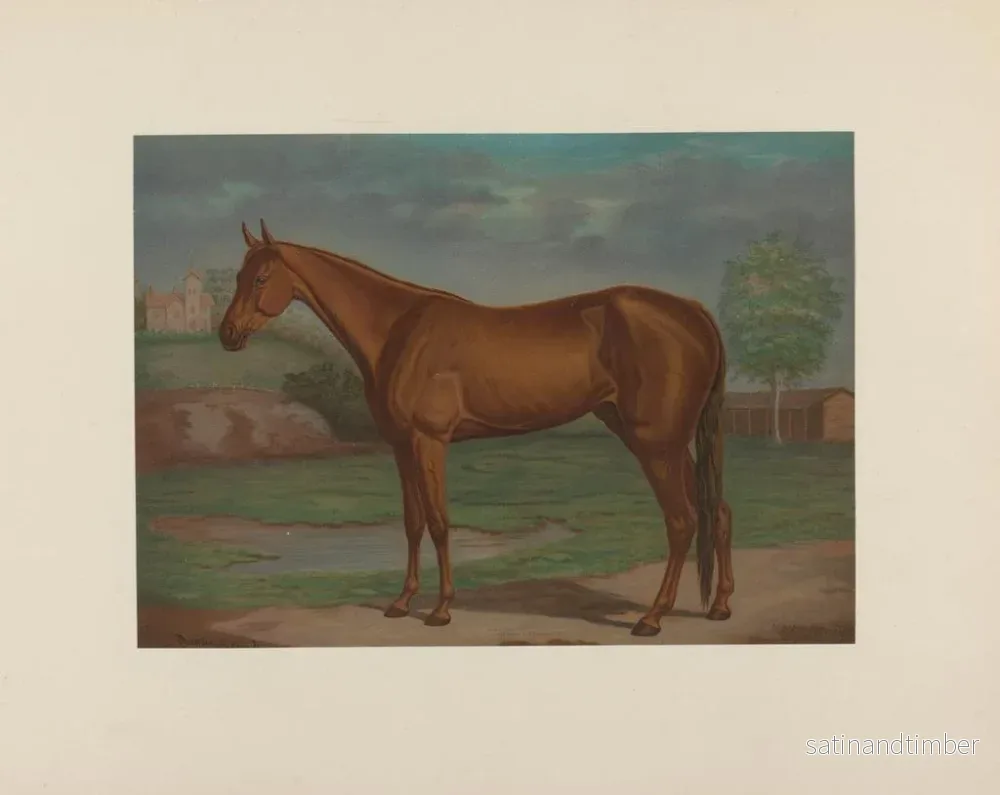 Reproduktion av målningen av La reine des courses de trot - Maurice Scanlan - Bild 2