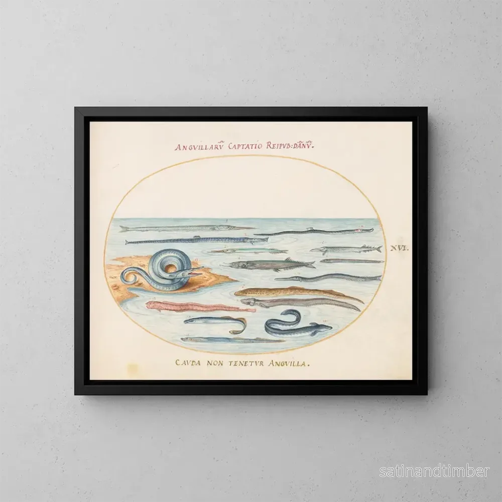 Reproduktion av målningen Planche 16 Anguilles, poissons-pipes et poissons-aiguilles - Joris Hoefnagel