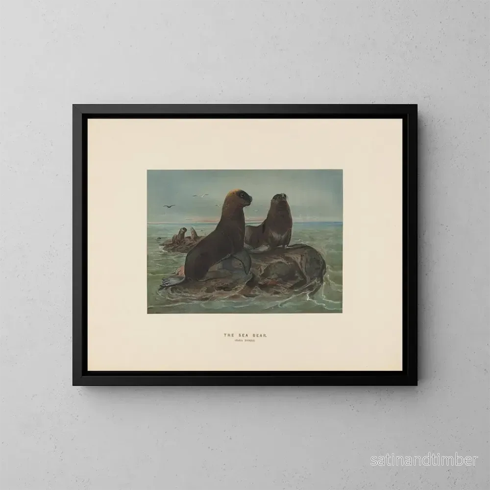 Reproduktion av målningen L'ours de mer - Joseph Wolf