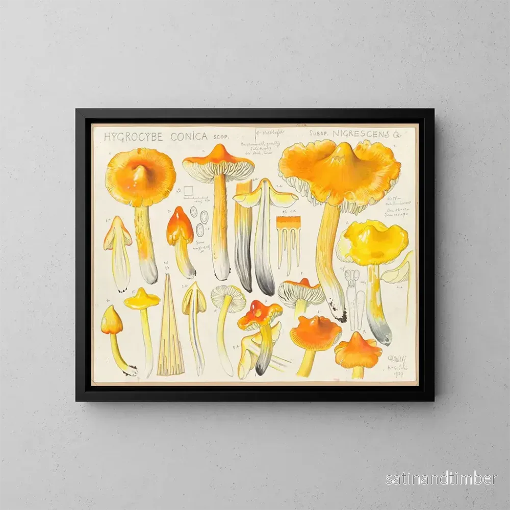 Reproduktion av målningen Hygrocybe conica subsp. nigrescens - Hans Baldung