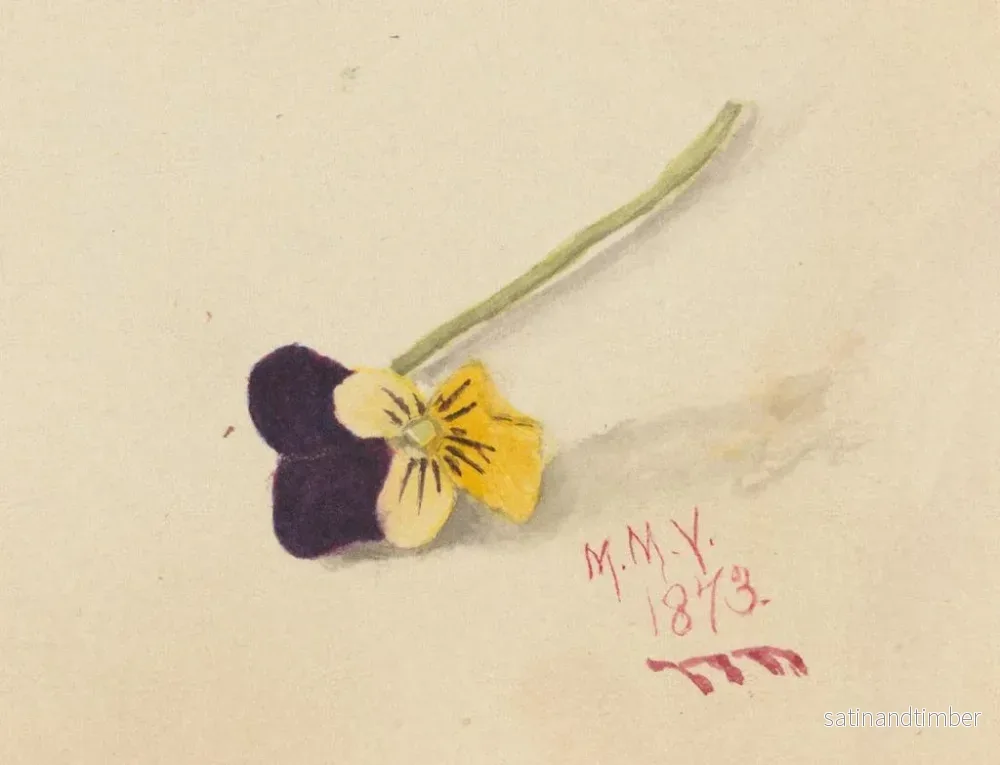 Reproduktion av målningen Pensée - Mary Vaux Walcott - Bild 2