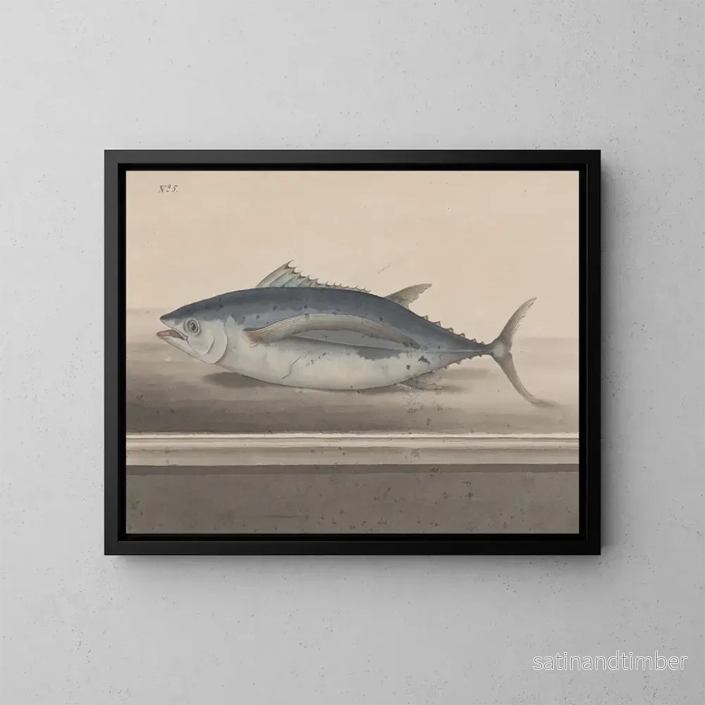 Reproduktion av målningen Histoire naturelle de Saint-Domingue Pl065 - René de Rabi