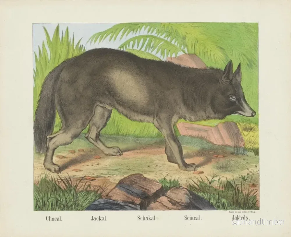 Reproduktion av målningen Chacal - Joseph Scholz - Bild 2