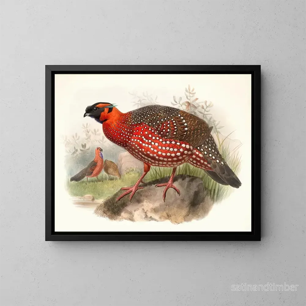 Reproduktion av målningen Ceriornis satyra - Joseph Smit