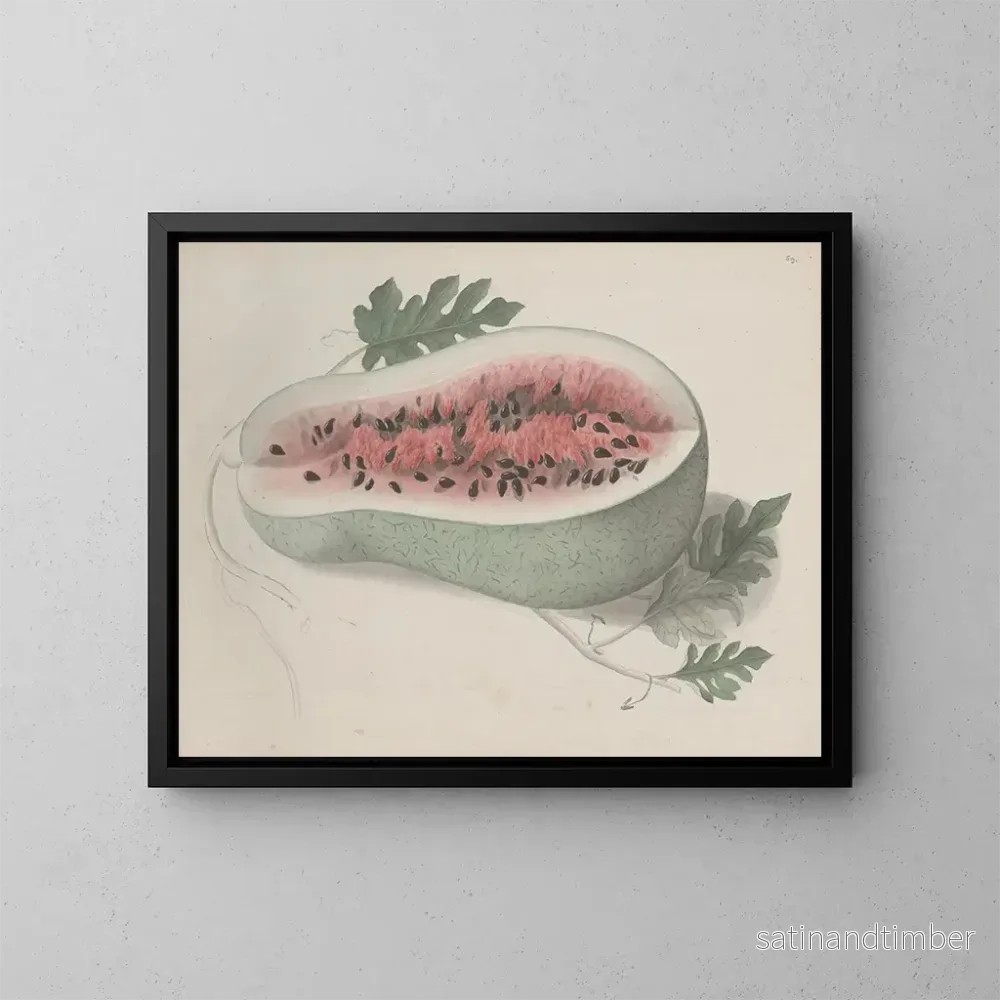 Reproduktion av målningen Histoire naturelle de Saint-Domingue Pl190 - René de Rabi