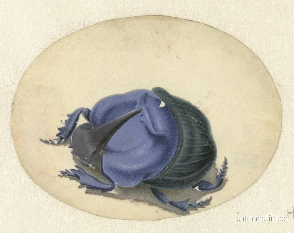 Reproduktion av målningen Scarabée bleu - Jan Augustin van der Goes - Bild 2