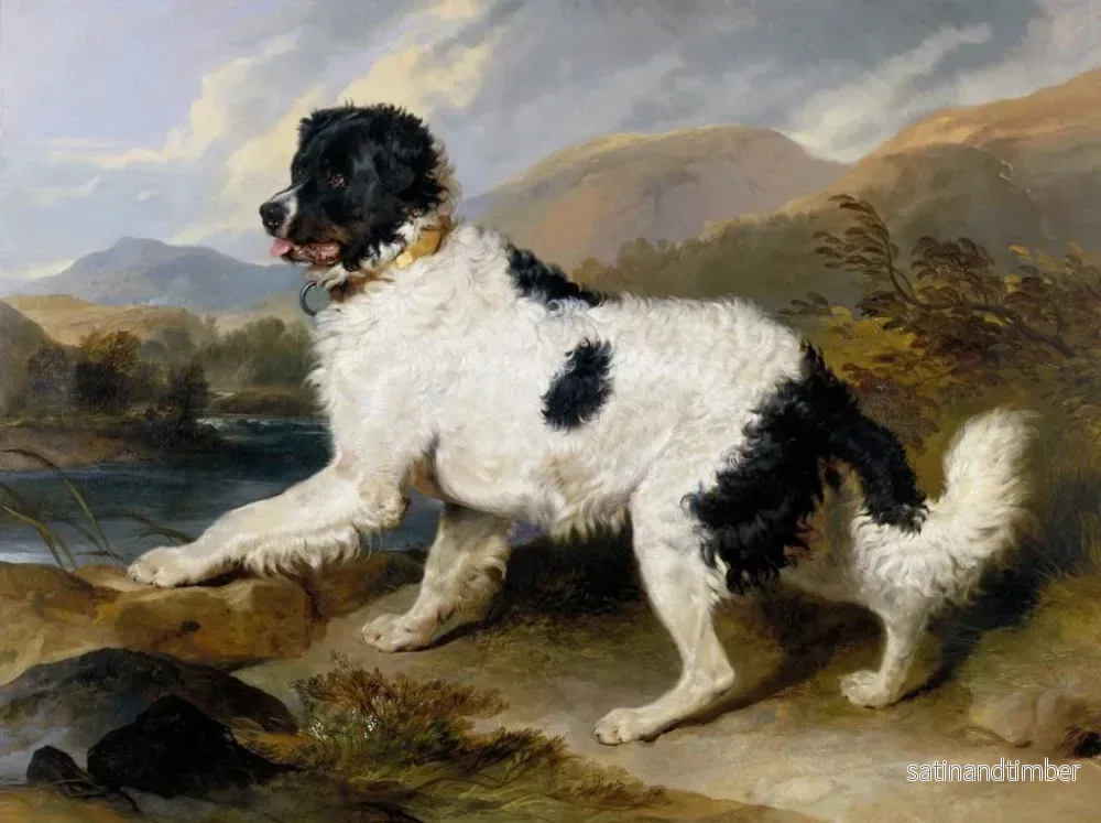 Reproduktion av målningen Lion, en Newfoundland-hund - Sir Edwin Henry Landseer - Bild 2